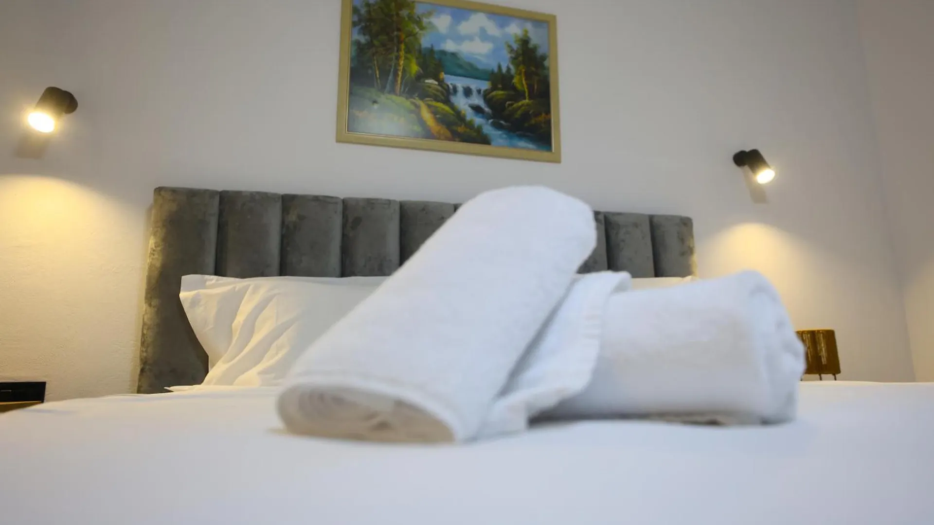Vila Alizee Hotel Tirana