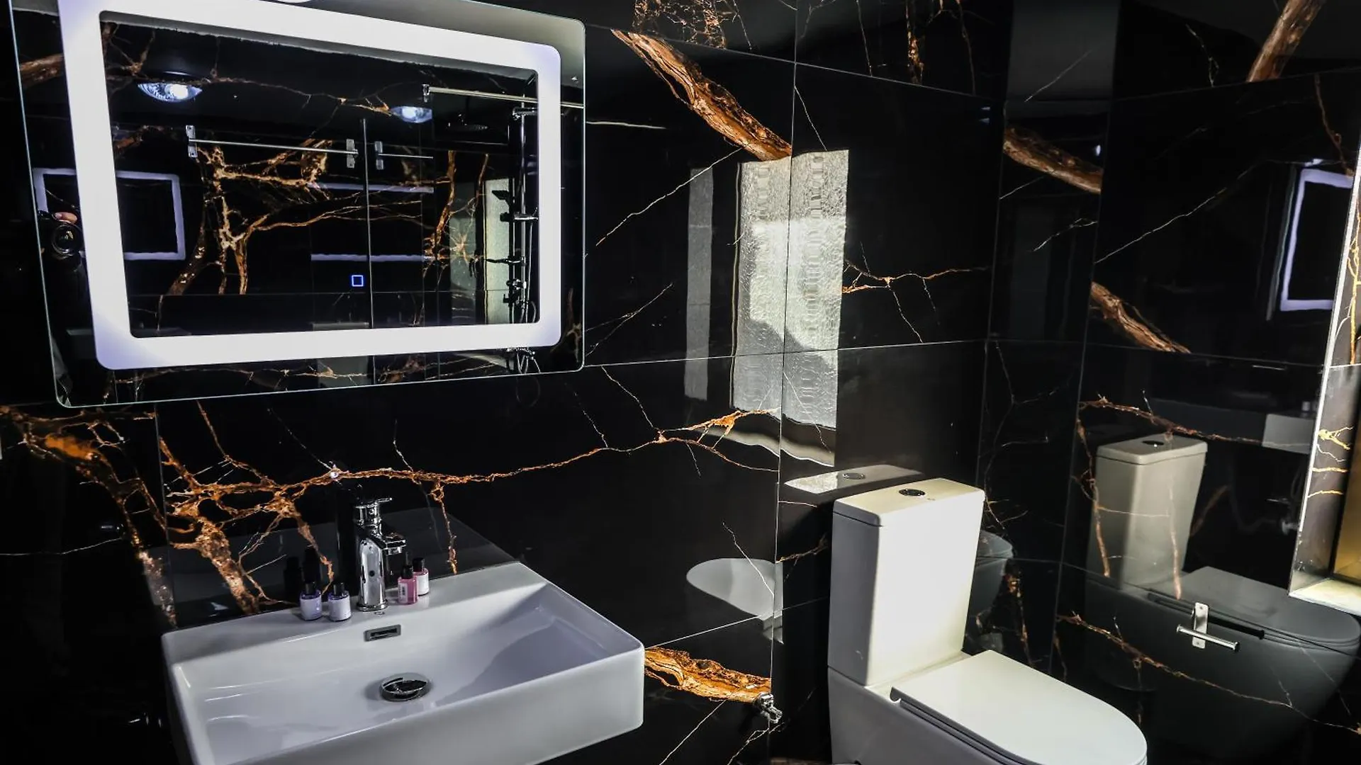 Vila Alizee Hotel Tirana