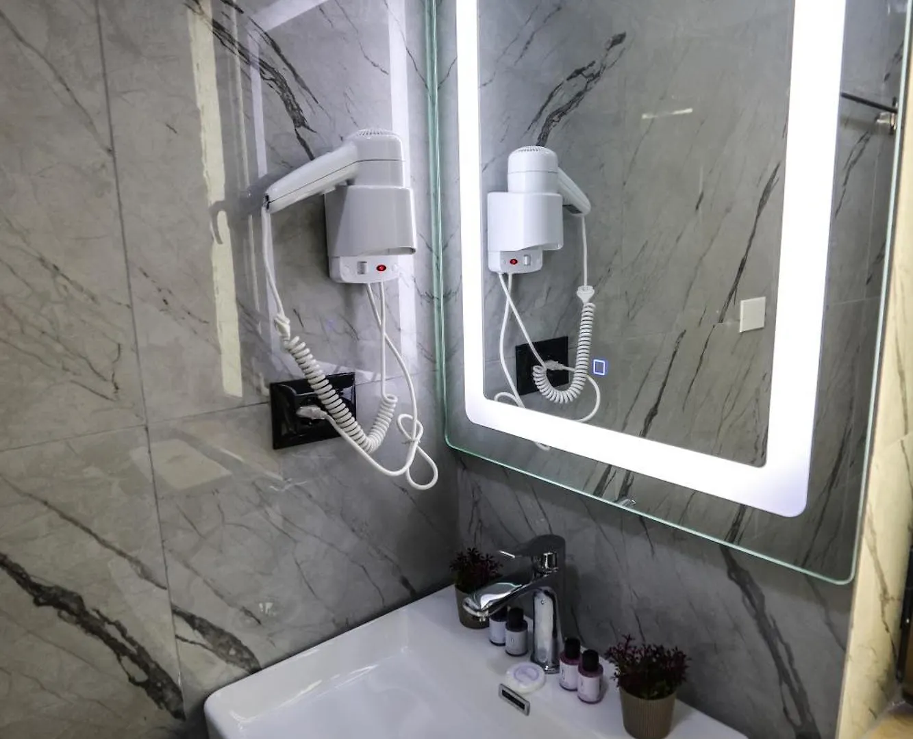 Vila Alizee Hotel Tirana