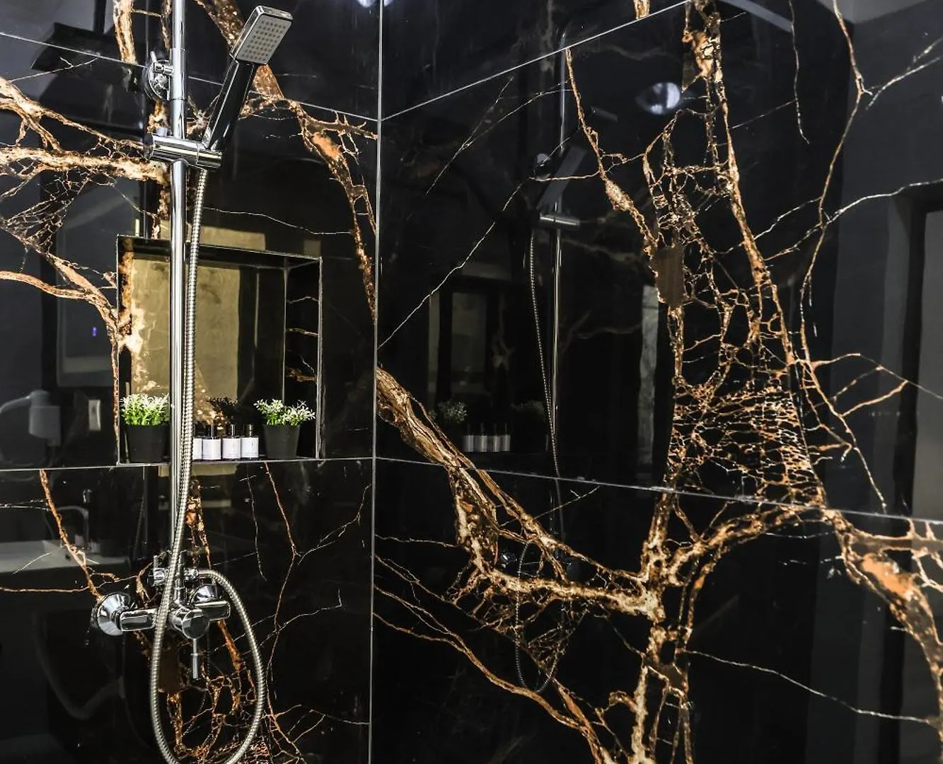 Vila Alizee Hotel Tirana Albania