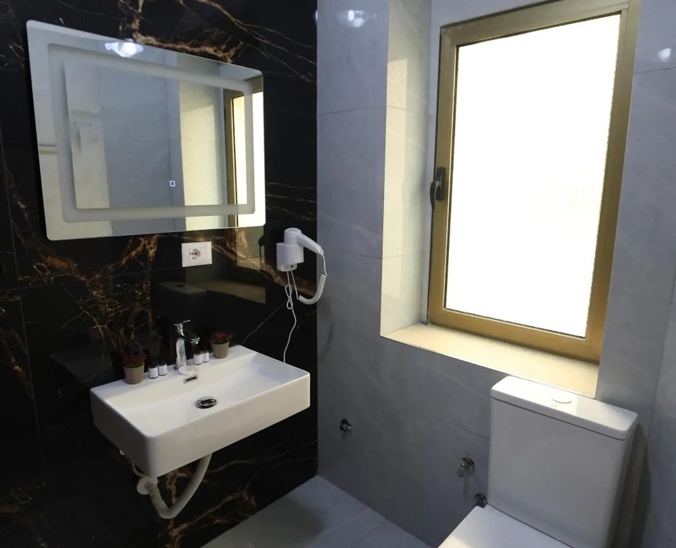 Vila Alizee Hotel Tirana 0*,  Albania